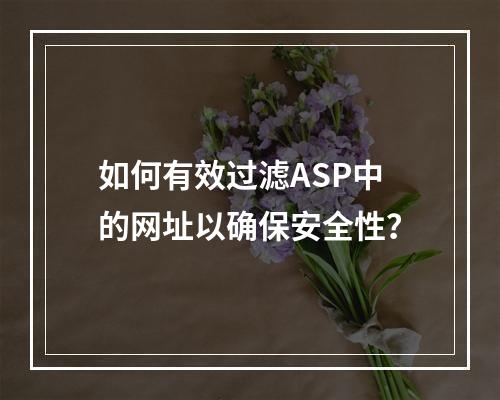 如何有效过滤ASP中的网址以确保安全性?
