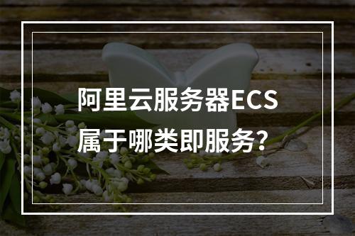阿里云服务器ECS属于哪类即服务？