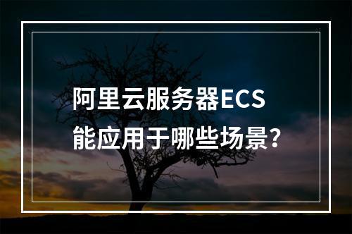 阿里云服务器ECS能应用于哪些场景？
