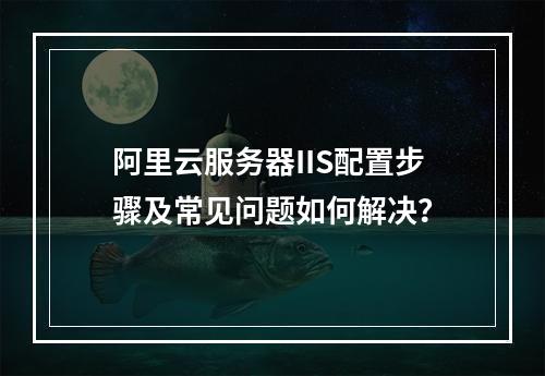 阿里云服务器IIS配置步骤及常见问题如何解决？