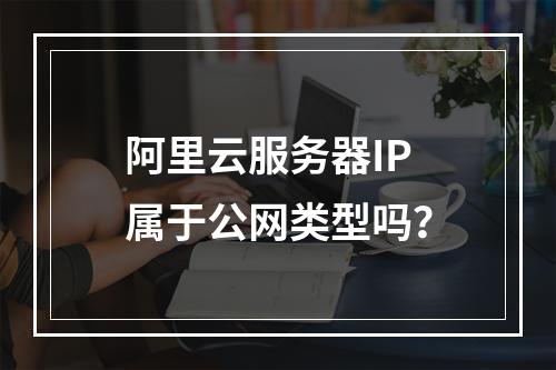 阿里云服务器IP属于公网类型吗？