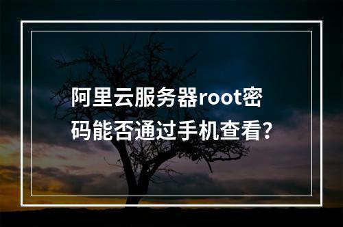 阿里云服务器root密码能否通过手机查看？