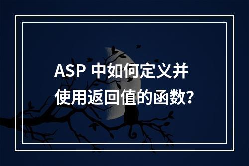 ASP 中如何定义并使用返回值的函数?