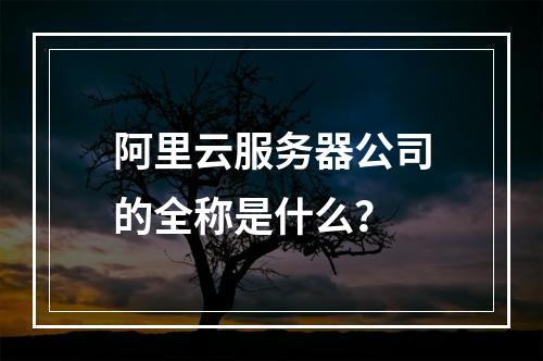 阿里云服务器公司的全称是什么？