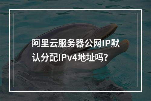 阿里云服务器公网IP默认分配IPv4地址吗？