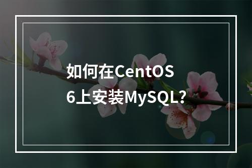 如何在CentOS 6上安装MySQL?