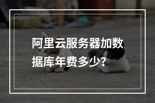 阿里云服务器加数据库年费多少？