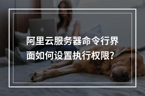 阿里云服务器命令行界面如何设置执行权限？