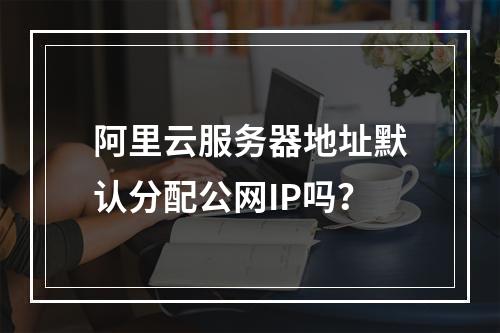 阿里云服务器地址默认分配公网IP吗？