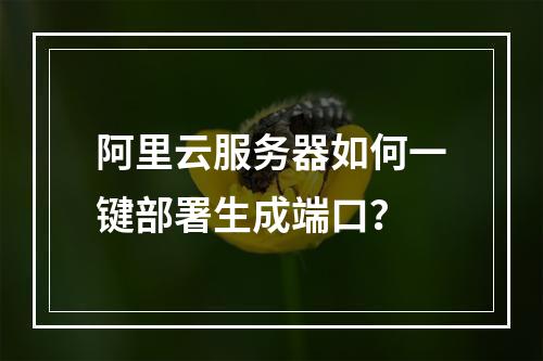 阿里云服务器如何一键部署生成端口？