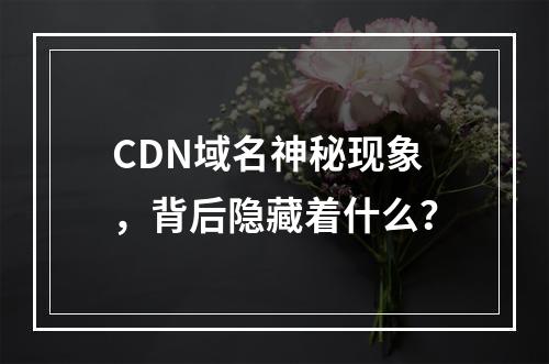 CDN域名神秘现象,背后隐藏着什么?