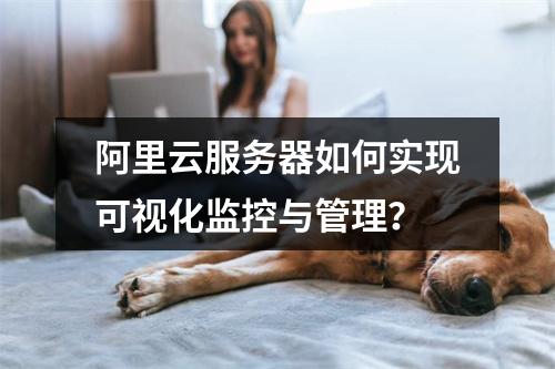 阿里云服务器如何实现可视化监控与管理？