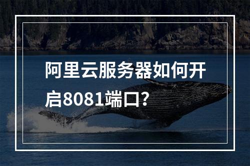 阿里云服务器如何开启8081端口？