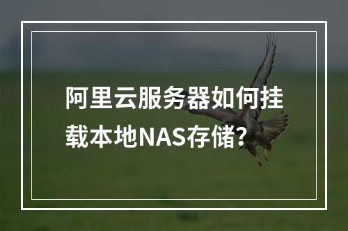 阿里云服务器如何挂载本地NAS存储？