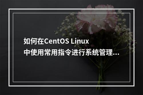 如何在CentOS Linux中使用常用指令进行系统管理?