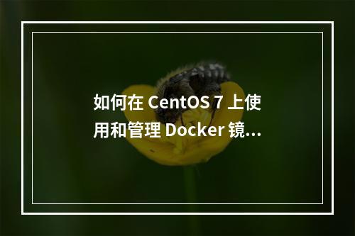 如何在 CentOS 7 上使用和管理 Docker 镜像?