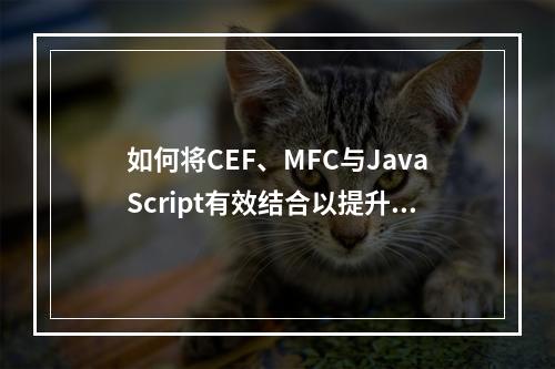 如何将CEF、MFC与JavaScript有效结合以提升桌面应用程序的开发效率和用户体验?