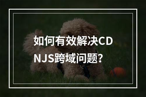 如何有效解决CDNJS跨域问题?