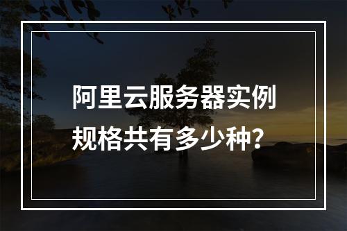 阿里云服务器实例规格共有多少种？