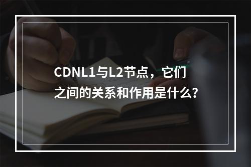 CDNL1与L2节点,它们之间的关系和作用是什么?