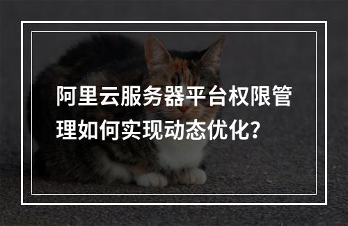 阿里云服务器平台权限管理如何实现动态优化？