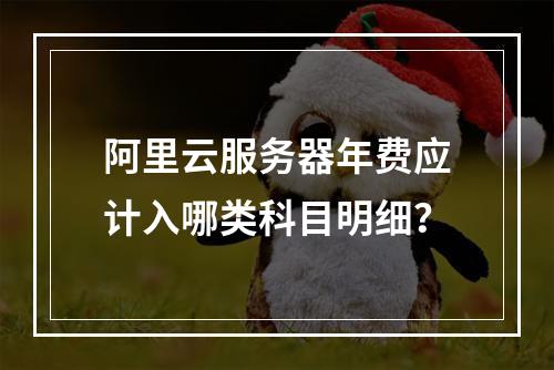 阿里云服务器年费应计入哪类科目明细？