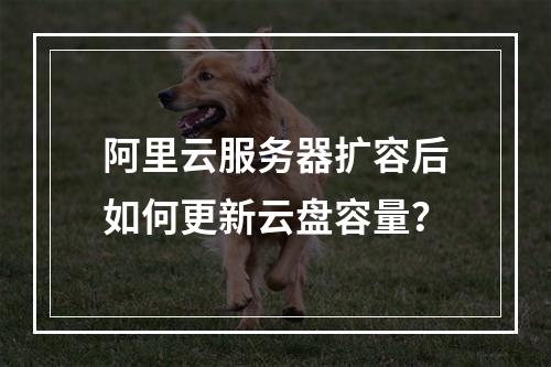 阿里云服务器扩容后如何更新云盘容量？