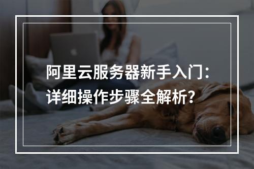 阿里云服务器新手入门：详细操作步骤全解析？