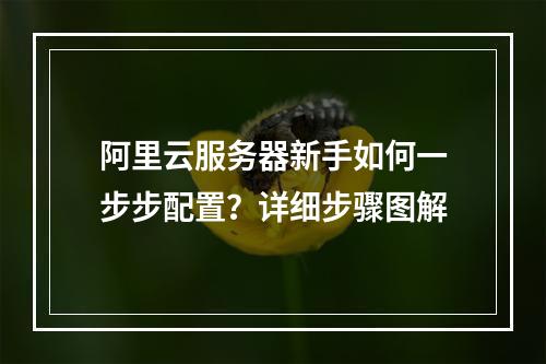 阿里云服务器新手如何一步步配置？详细步骤图解