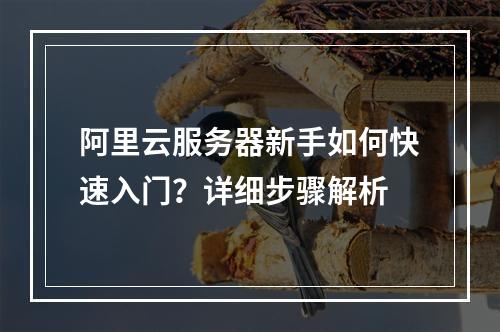 阿里云服务器新手如何快速入门？详细步骤解析