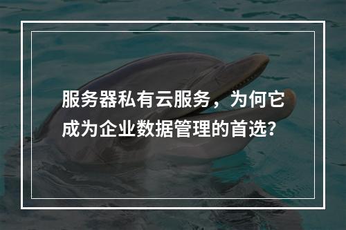 服务器私有云服务,为何它成为企业数据管理的首选?