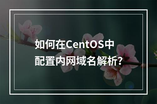 如何在CentOS中配置内网域名解析?