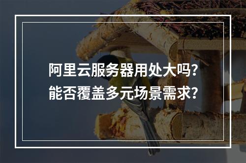 阿里云服务器用处大吗？能否覆盖多元场景需求？