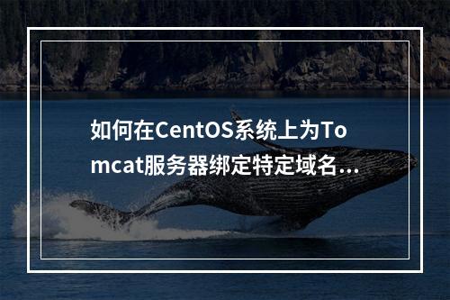 如何在CentOS系统上为Tomcat服务器绑定特定域名?