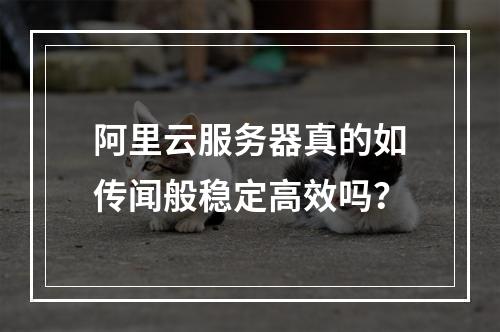 阿里云服务器真的如传闻般稳定高效吗？