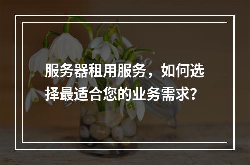 服务器租用服务,如何选择最适合您的业务需求?