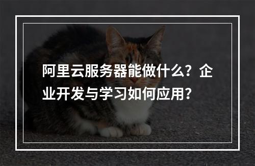 阿里云服务器能做什么？企业开发与学习如何应用？