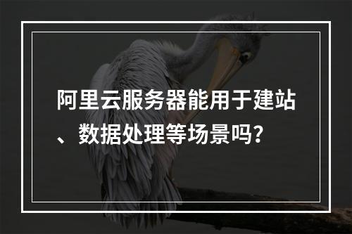 阿里云服务器能用于建站、数据处理等场景吗？