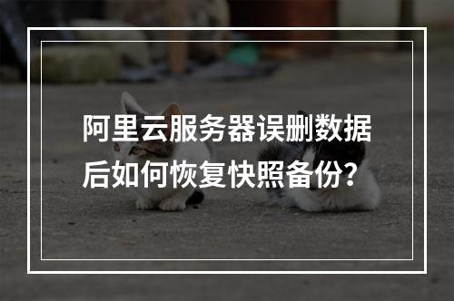阿里云服务器误删数据后如何恢复快照备份？