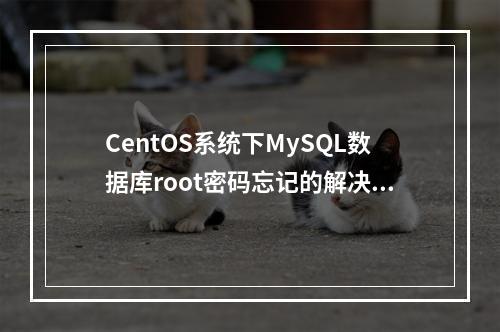 CentOS系统下MySQL数据库root密码忘记的解决方法是什么?