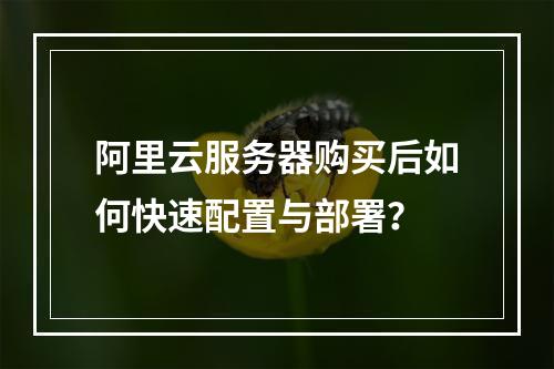 阿里云服务器购买后如何快速配置与部署？