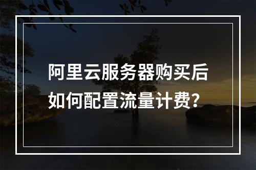 阿里云服务器购买后如何配置流量计费？