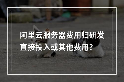 阿里云服务器费用归研发直接投入或其他费用？