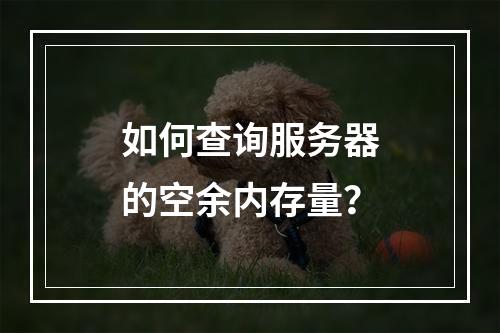如何查询服务器的空余内存量?