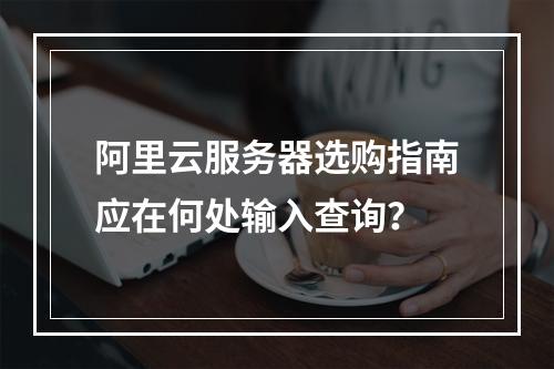 阿里云服务器选购指南应在何处输入查询？
