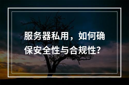 服务器私用,如何确保安全性与合规性?