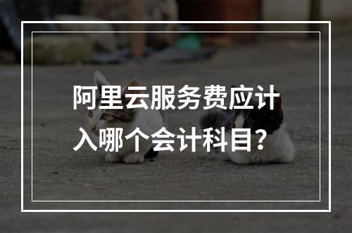 阿里云服务费应计入哪个会计科目？