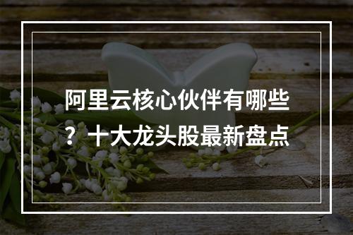阿里云核心伙伴有哪些？十大龙头股最新盘点