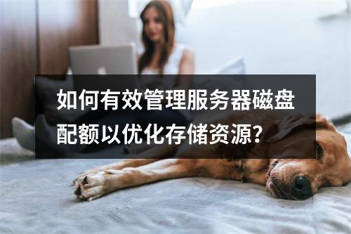 如何有效管理服务器磁盘配额以优化存储资源?