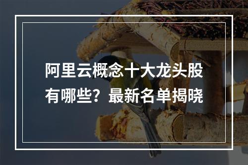 阿里云概念十大龙头股有哪些？最新名单揭晓